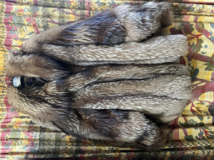 PELLICCIA DI VOLPE ROSSA